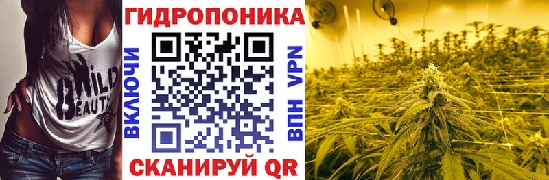 купить наркотик  hydra рабочий сайт  Бошки марихуана Ganja  Кирс 